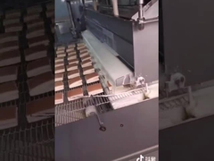 水平なセンサーが付いている機械を着せる5HP 1000mmの純粋なチョコレート